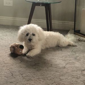 Meet your Posher, Jim